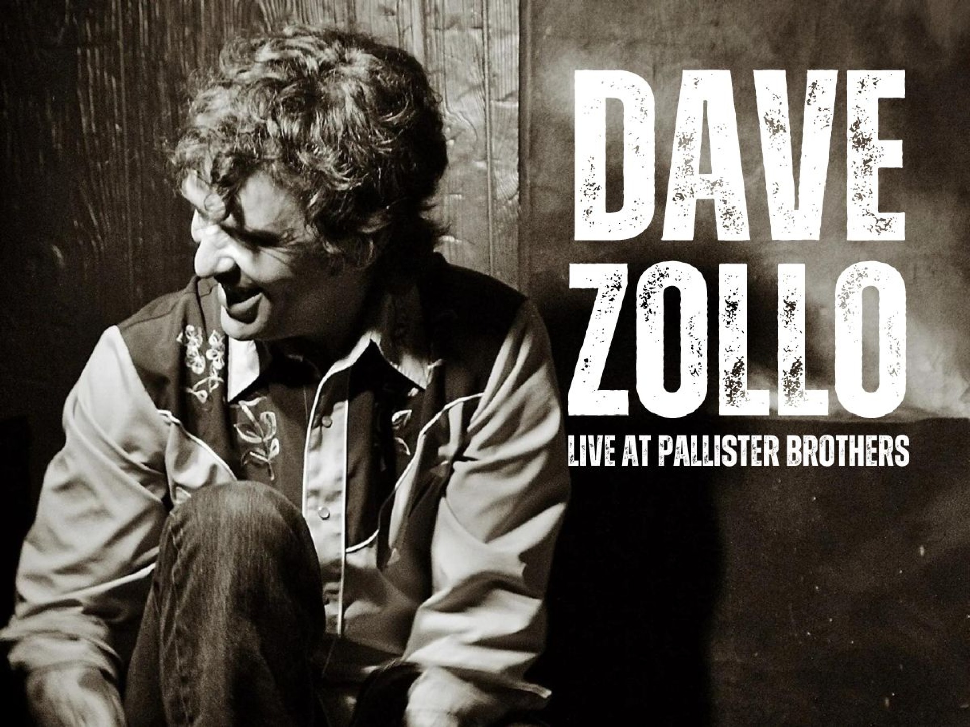 Dave Zollo: Live in the Taproom