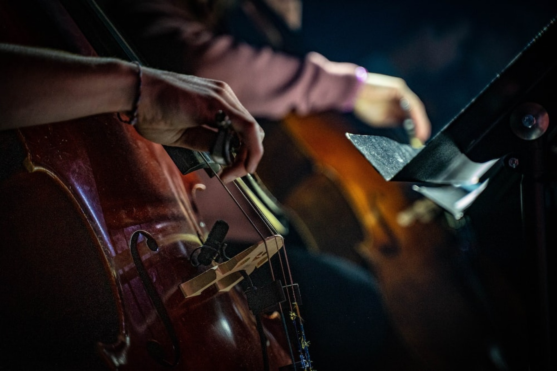 Ottumwa Symphony Orchestra Presents: Featuring Our Own