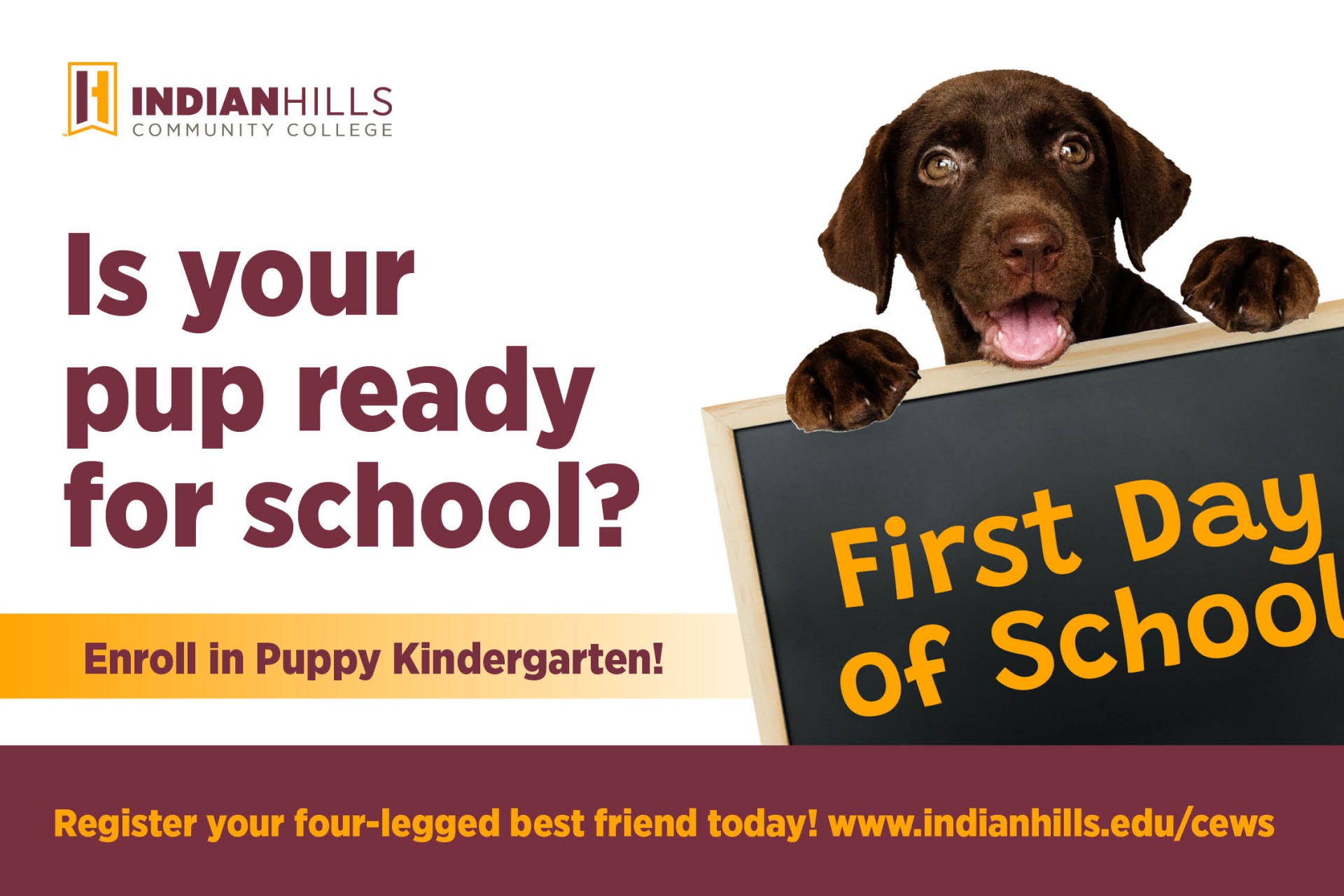 Puppy Kindergarten