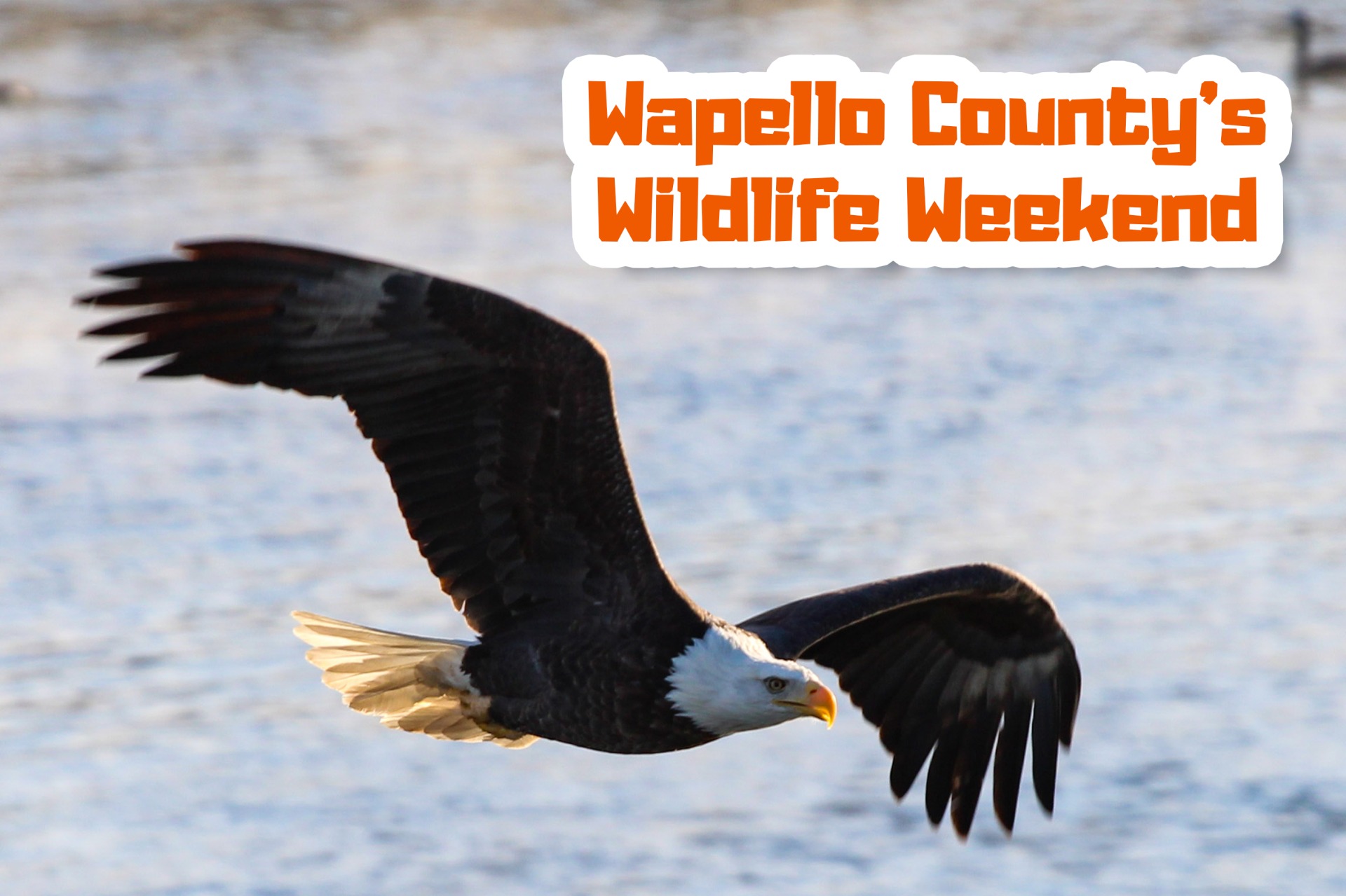 Wapello County's Wildlife Weekend