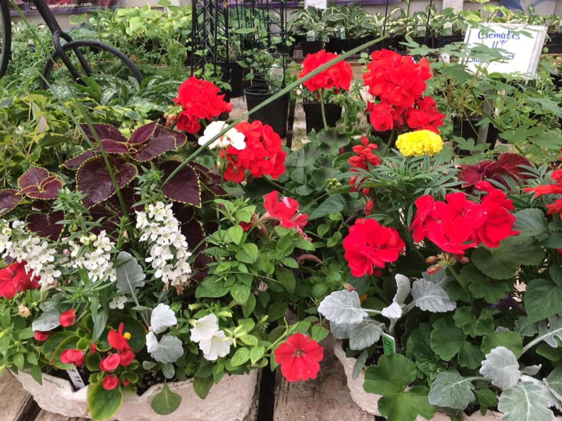 Ostrander Flowers & Greenhouses