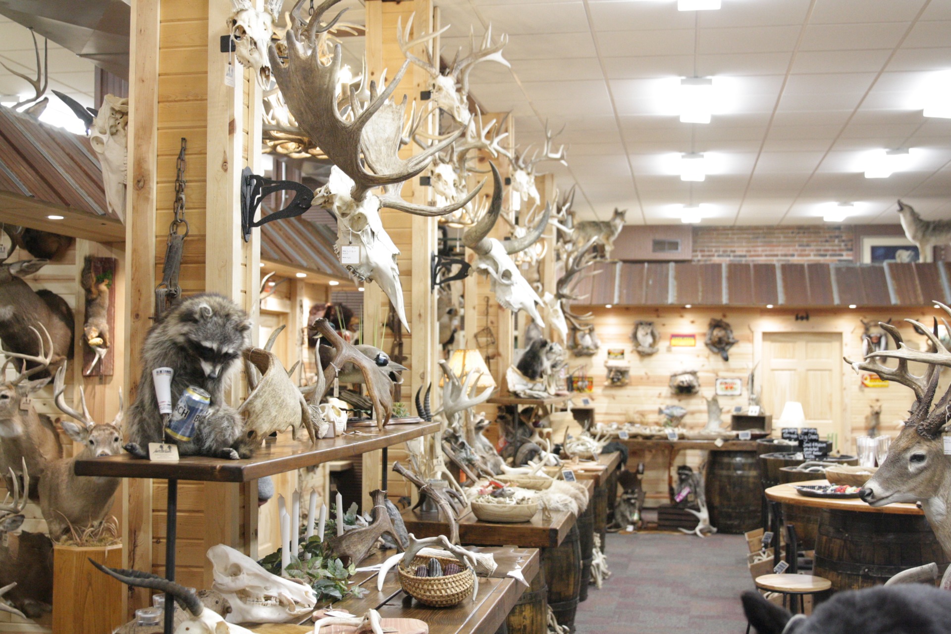 The Antler Guys Mercantile Co.